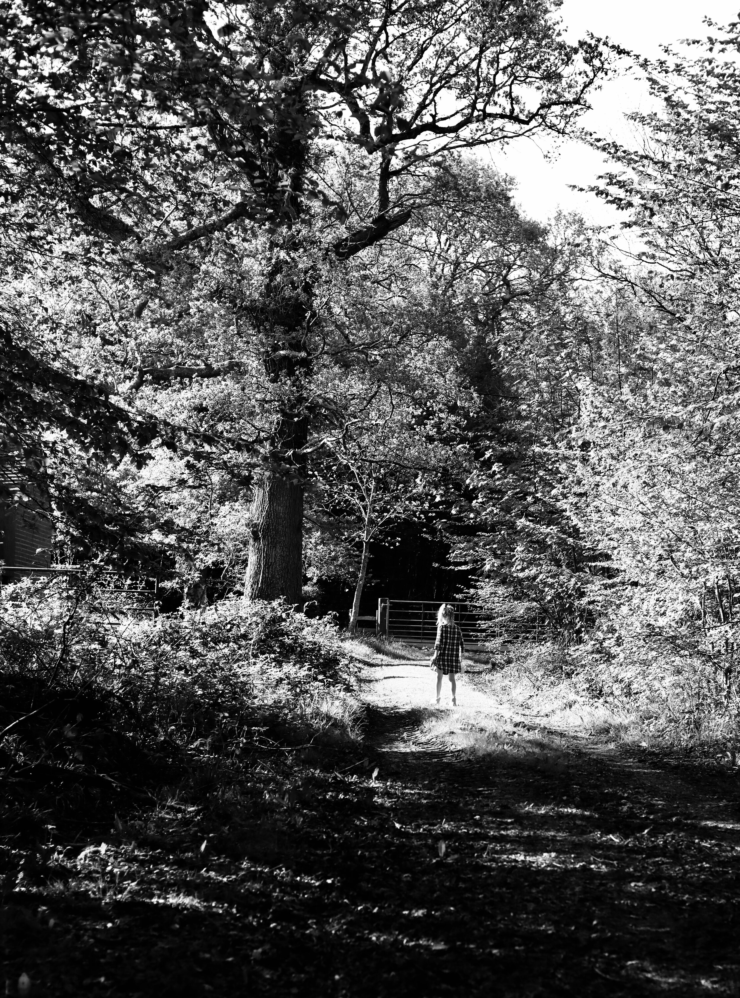 Girl Walking in Woods