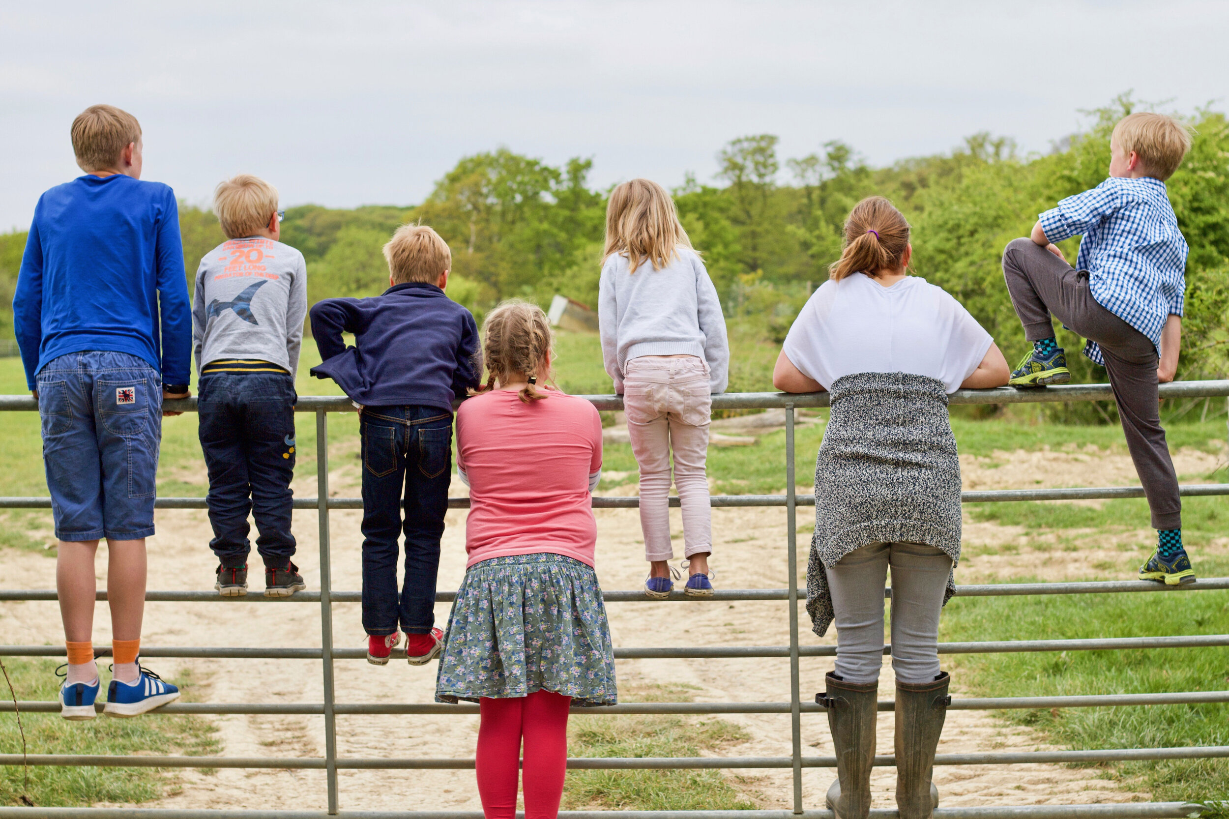 Children Looking Over Gate into Field