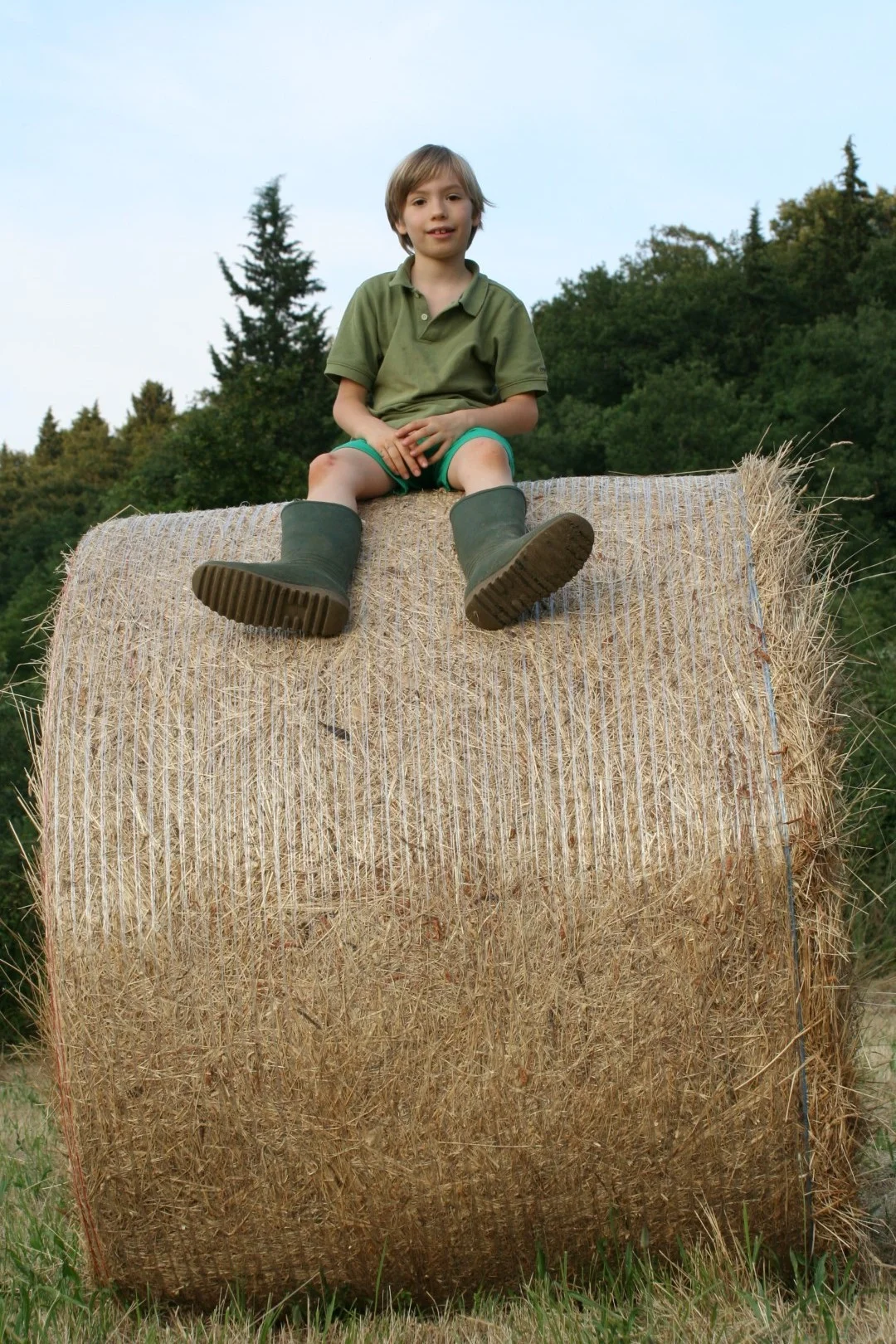 IMG_0400 (Grande).JPG