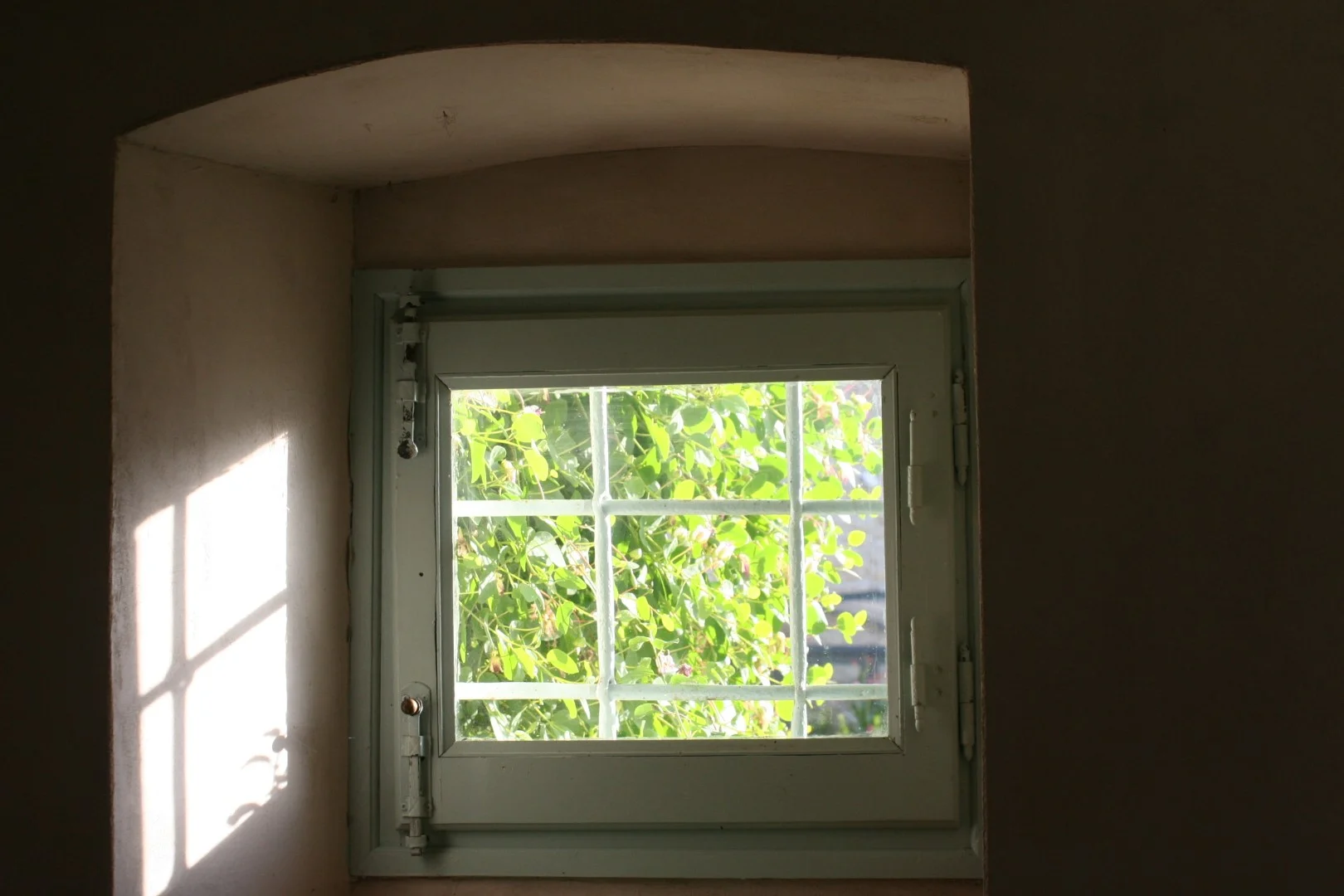 IMG_0815 (Grande).JPG