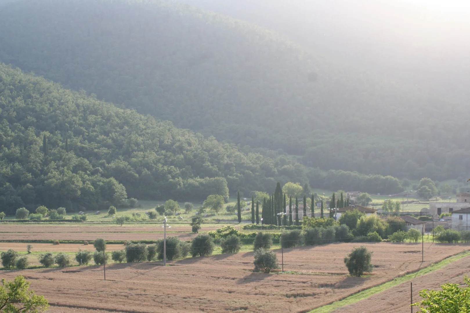 IMG_0821 (Grande).JPG