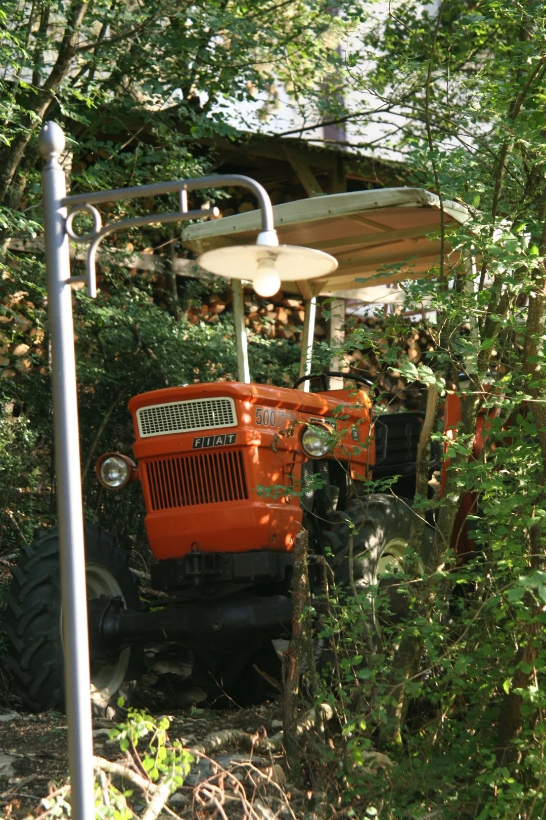 IMG_0841 (Grande).JPG