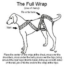 Fullwrap.jpeg
