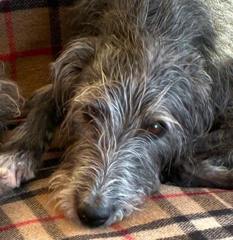 ERNEST in Co Durham