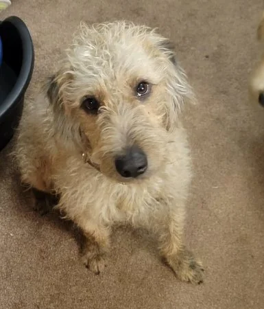 TED - in West Yorks