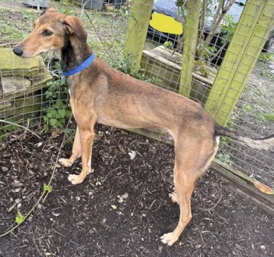 ODIN in West Yorkshire