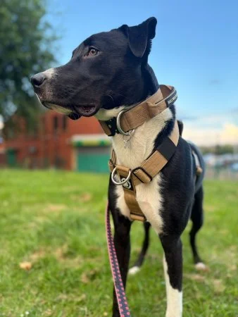ROONEY - in Mancs area