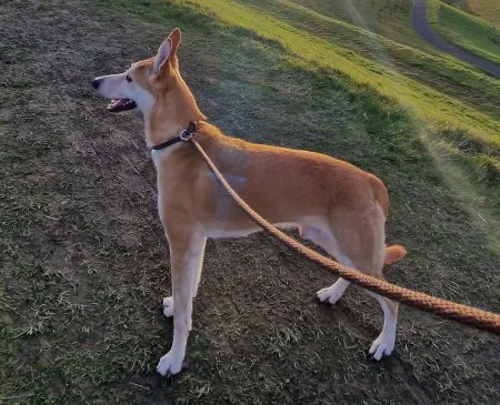 KANE in Northumberland