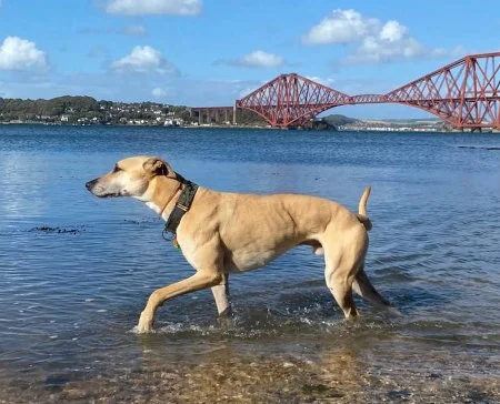 ZEKE in Edinburgh