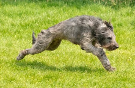 MARLA in Stoke on Trent