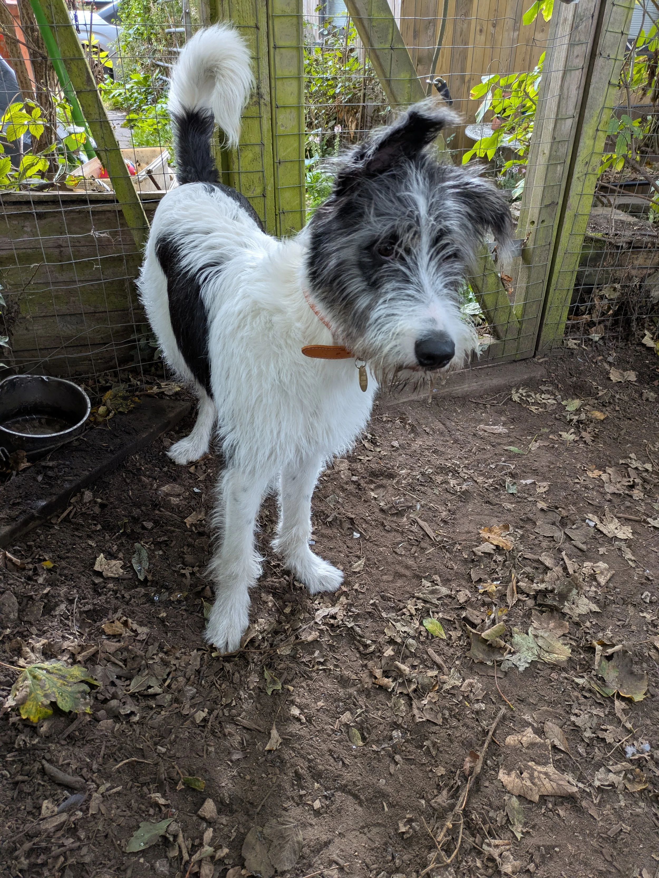 SCOUT - in West Yorks