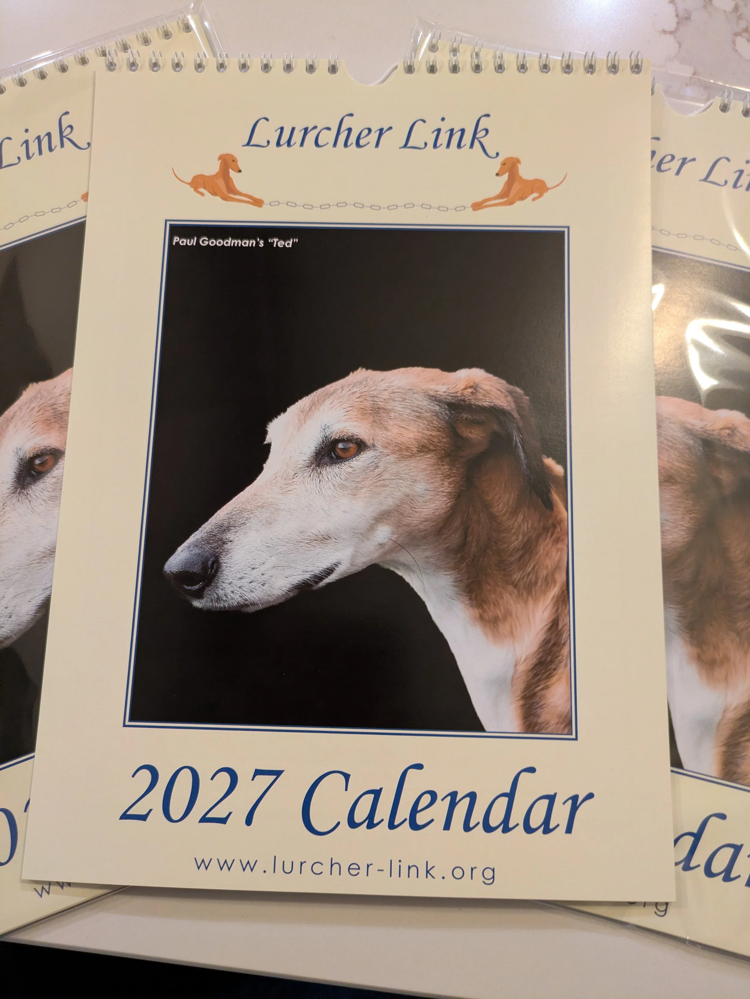 2027calFC1.jpg