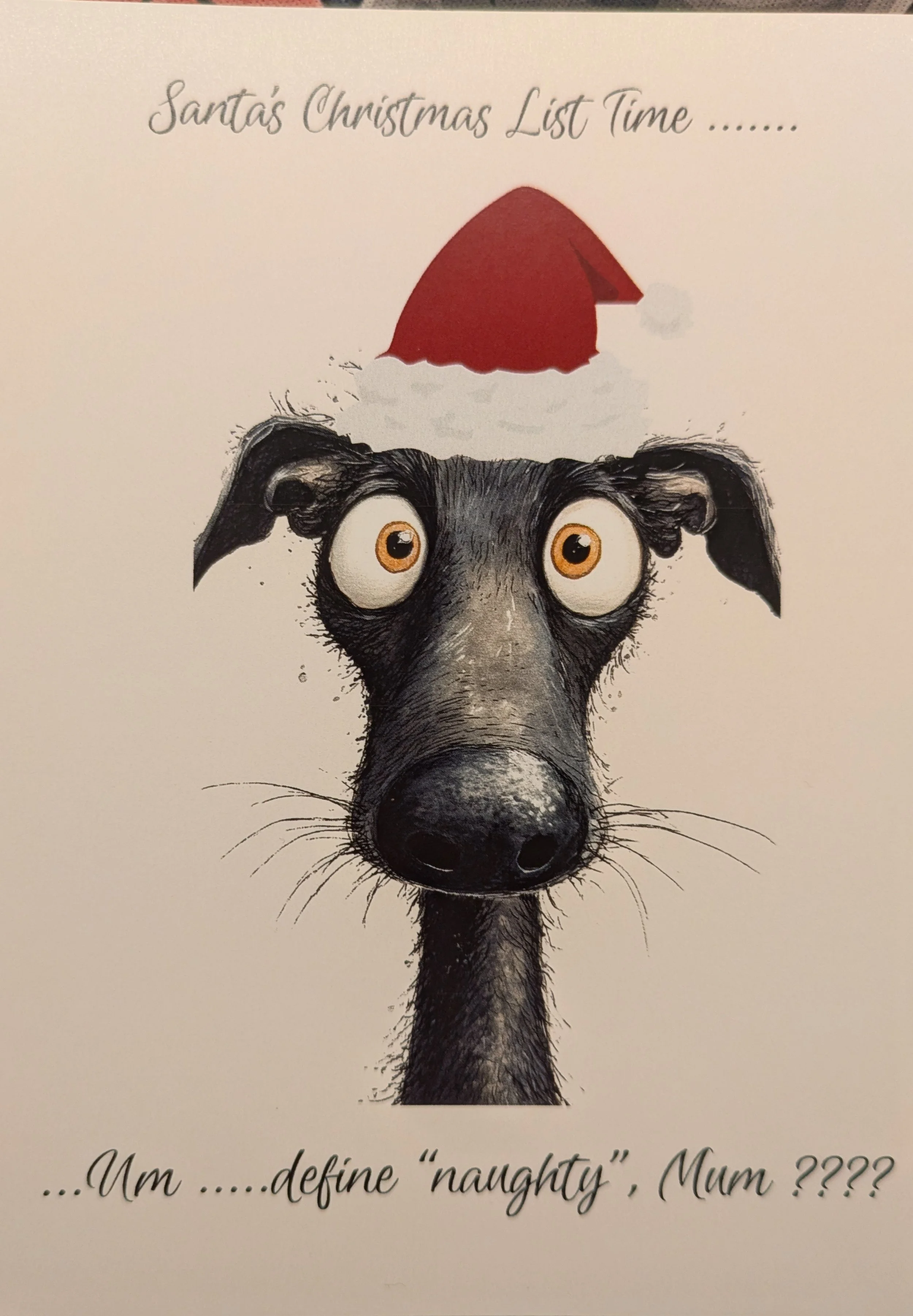 Pack of 10 Christmas Cards - Design No 1  " Dog's Face"