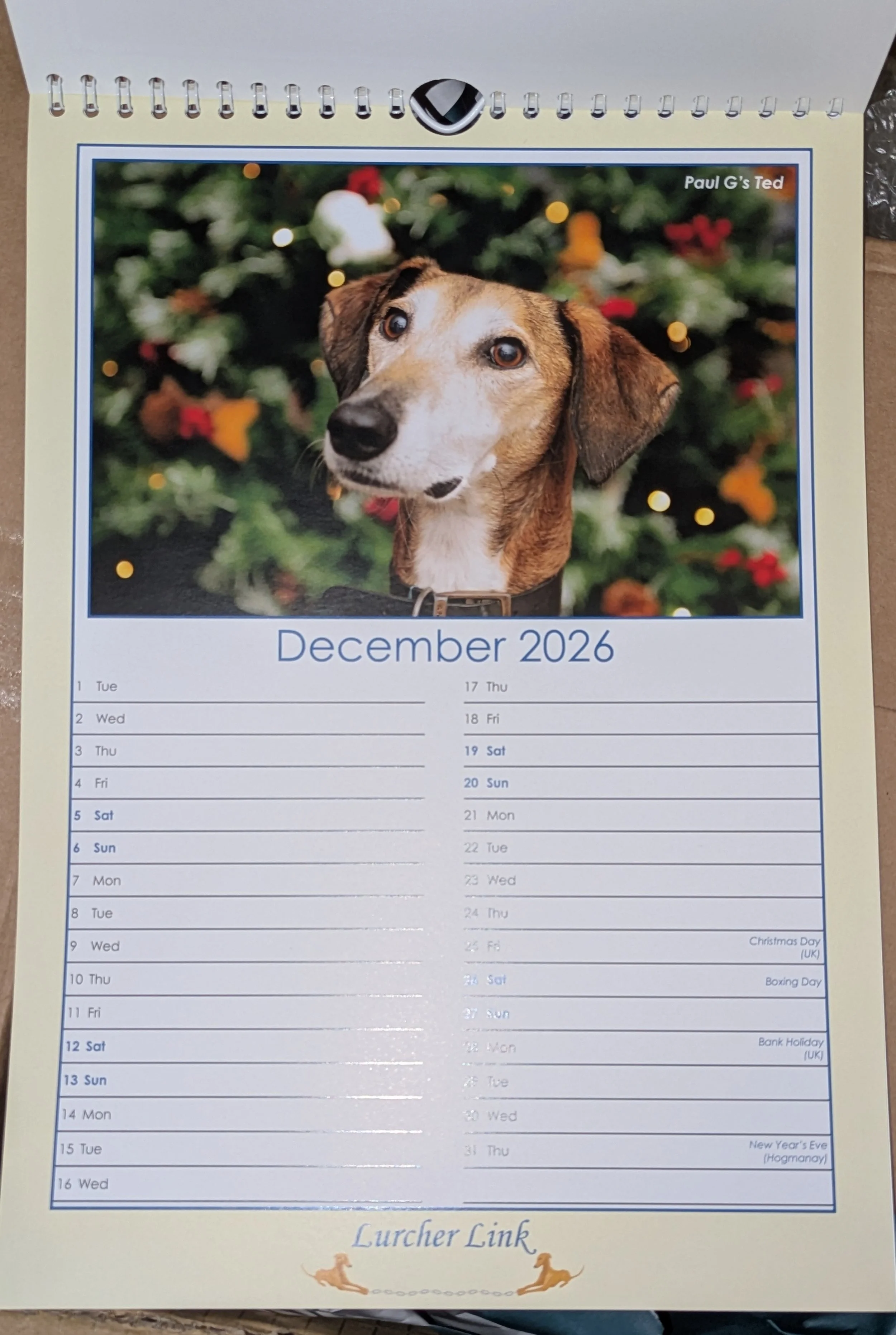 Dec.jpg