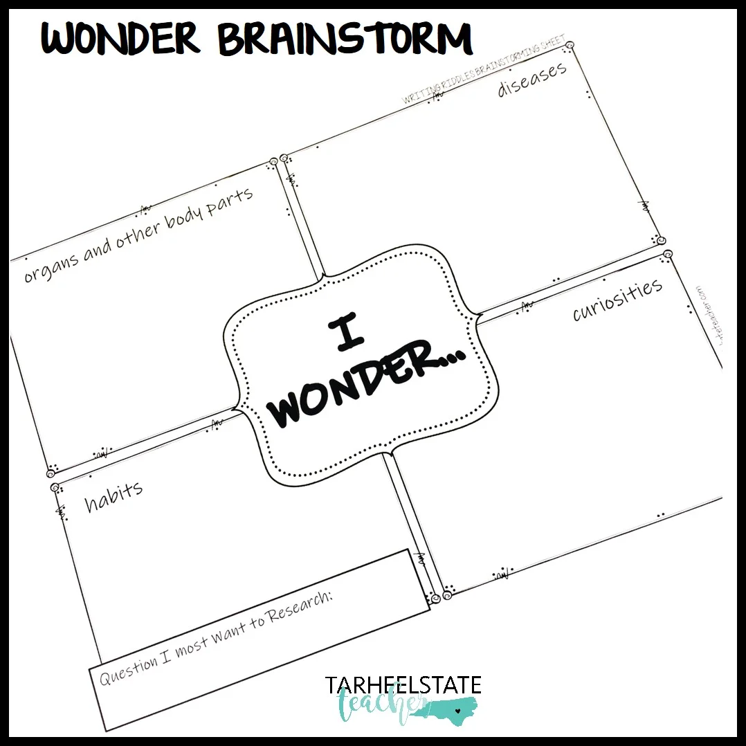 mini research wonder brainstorm.jpg
