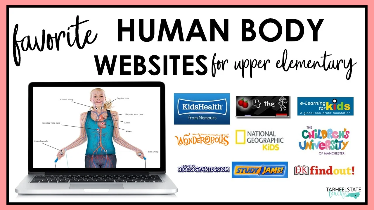 Best Websites for Teaching Human Body Systems