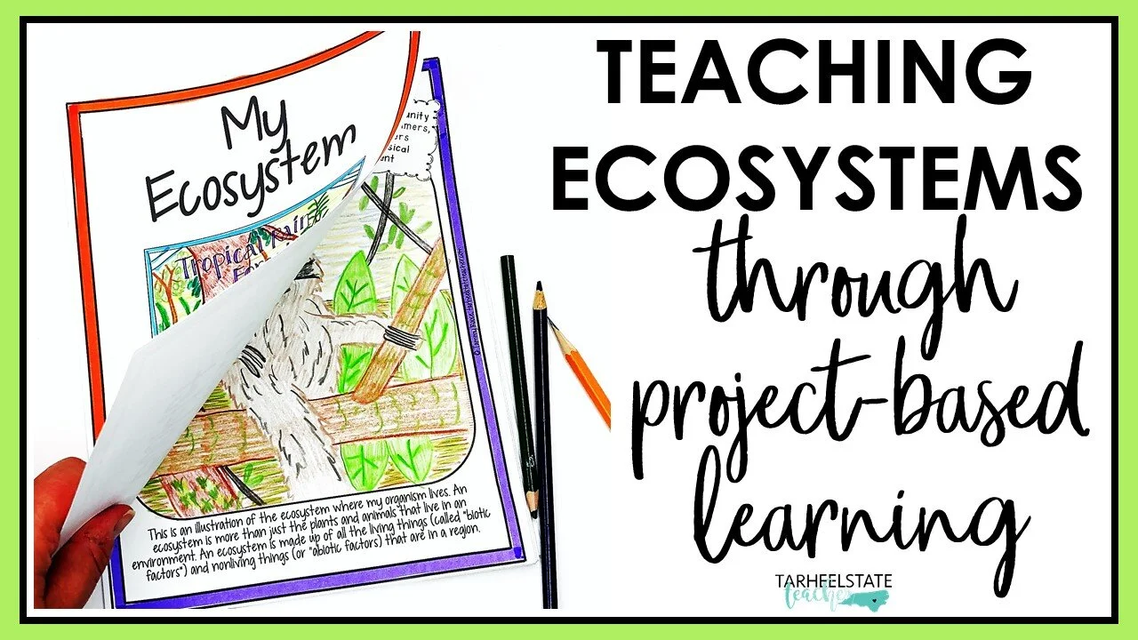 Ecosystems Project Based Learning: Museum Project