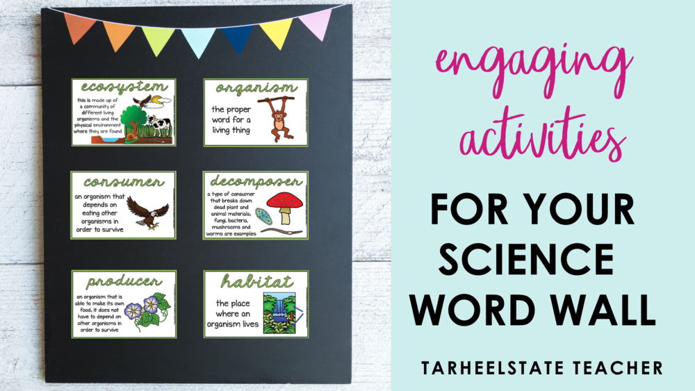 Interactive Activities And Ideas For Your Science Word Wall Tarheelstate Teacher - Word Wall Decor For Classroom