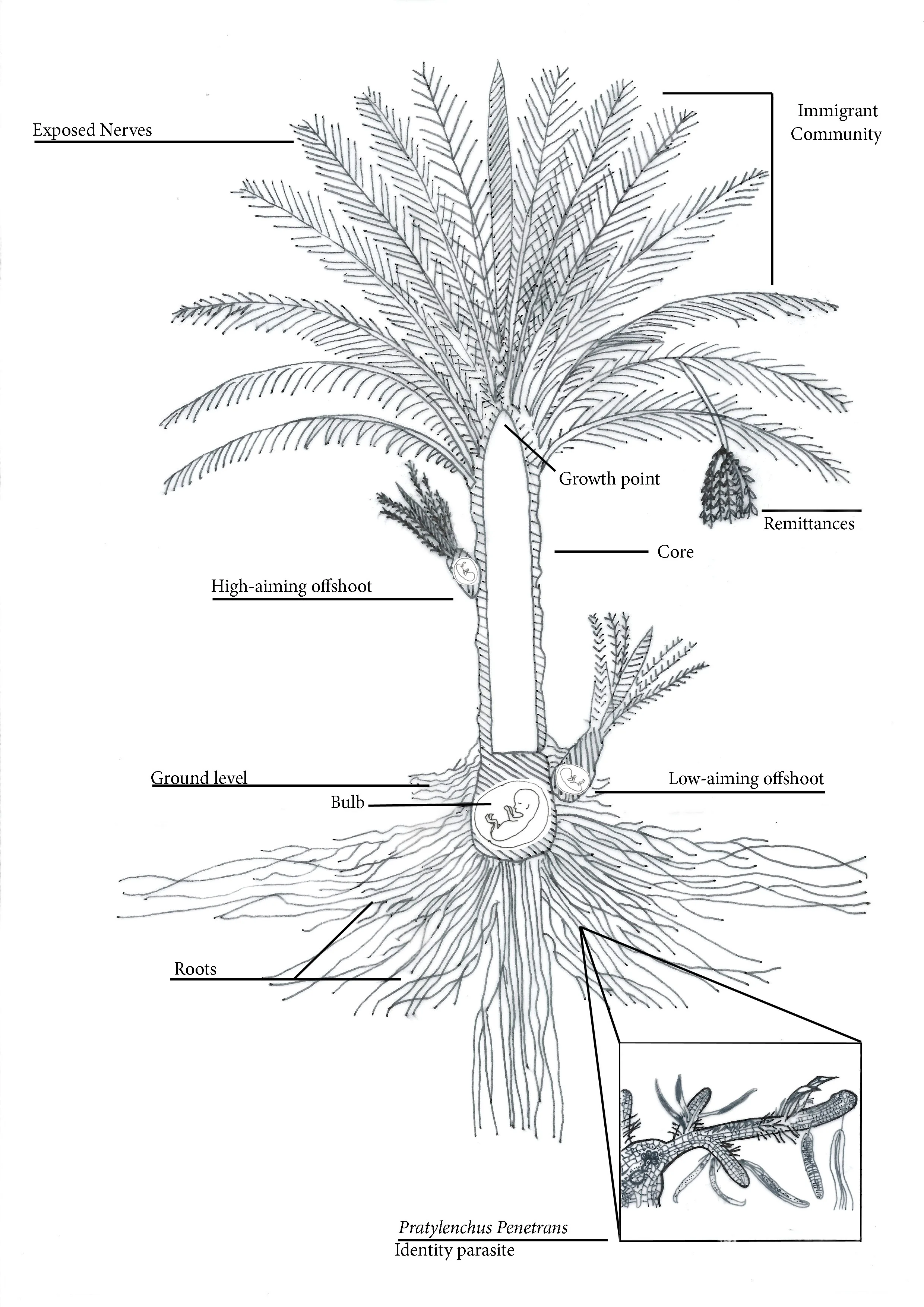 palm-baby-parasite_2480.jpg