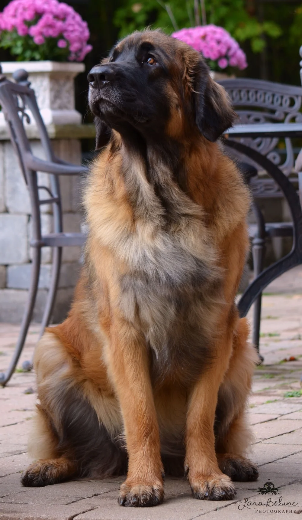 Fallyn Sits .jpg