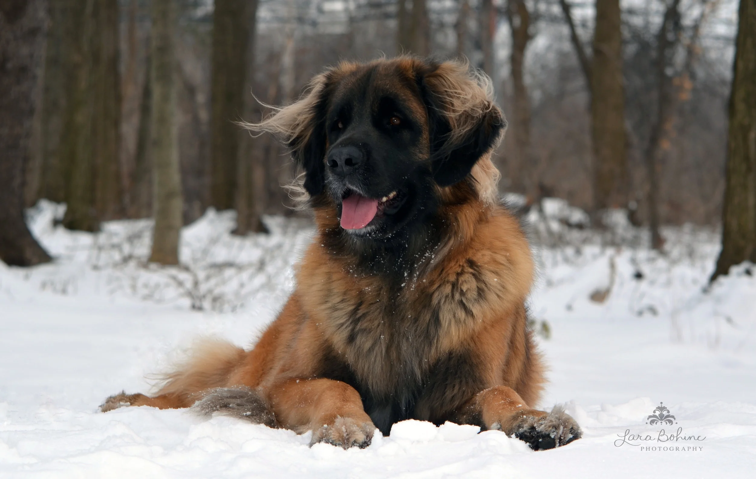 Kaia2 Years Signed .jpg