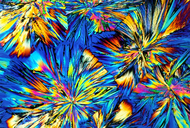 Paper Predators and Adrenaline Junkies