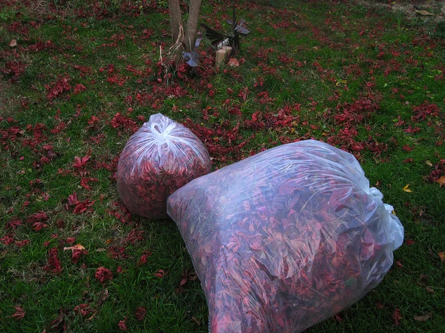 Prioritizing: Ranking and Maintaining Intention