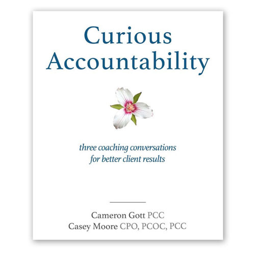 Crucial Conversations for Accountability - Brainquil