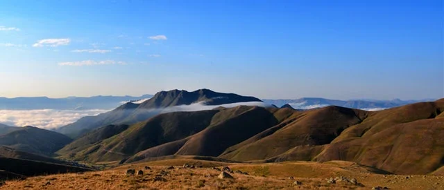 ADHD Coaches Guide for Clients