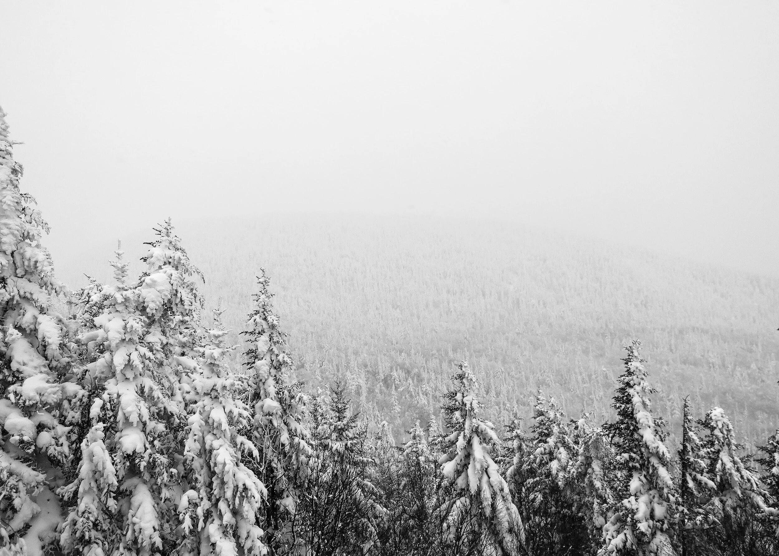 What a Backcountry Mishap Taught Me about Decision Making, ADHD and Emotional Regulation