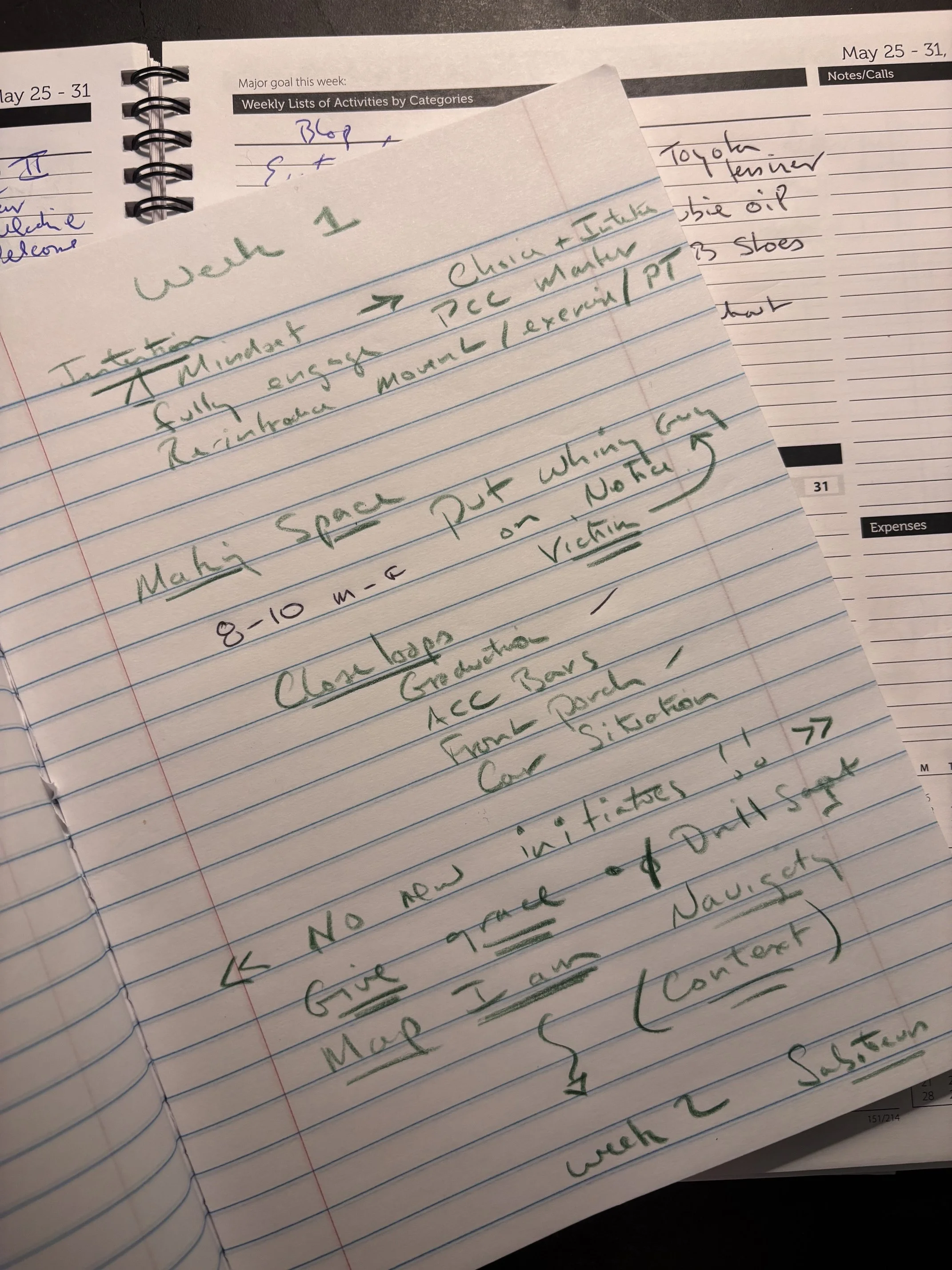 Ten Week Integration Reset — Week 1: Making Space, Giving Grace