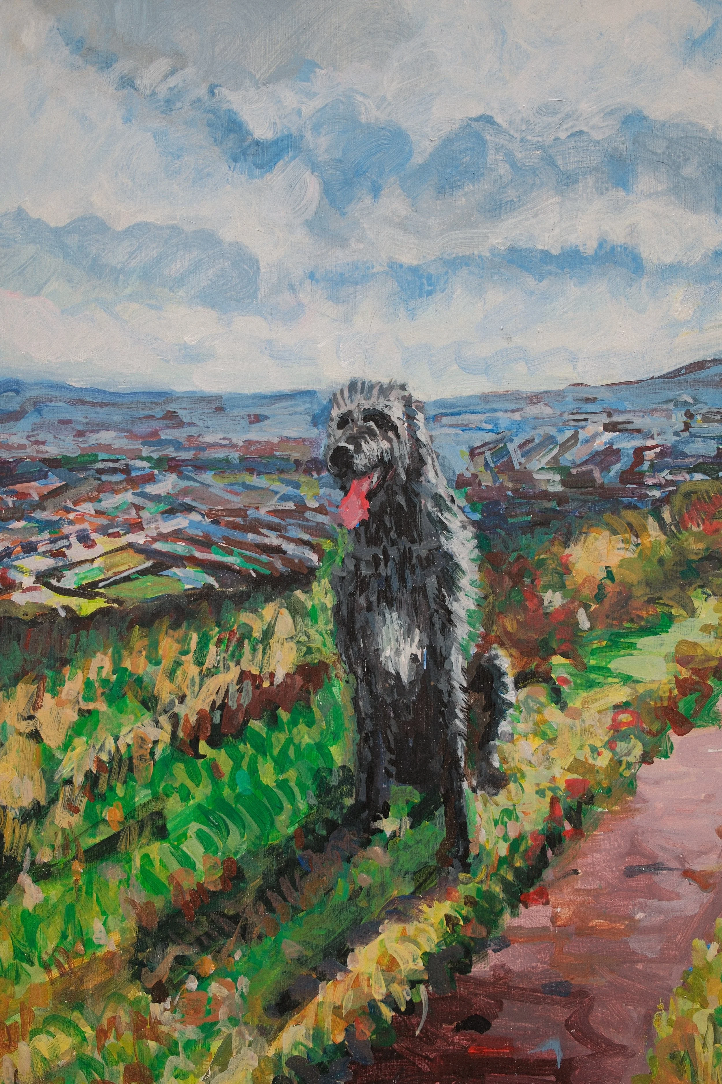 Irish Wolfhound at Cave Hill