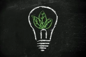 light bulb recycling