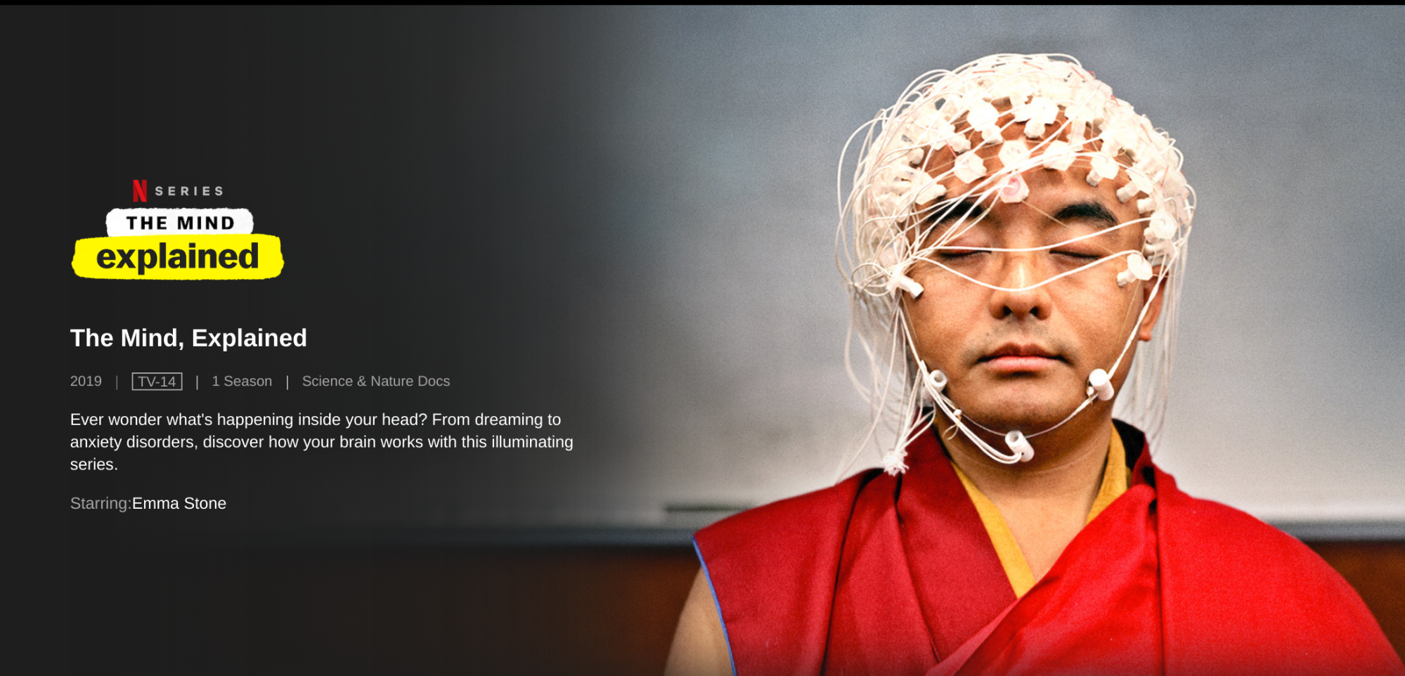 hire an esquire the brief The Mind, Explained.png
