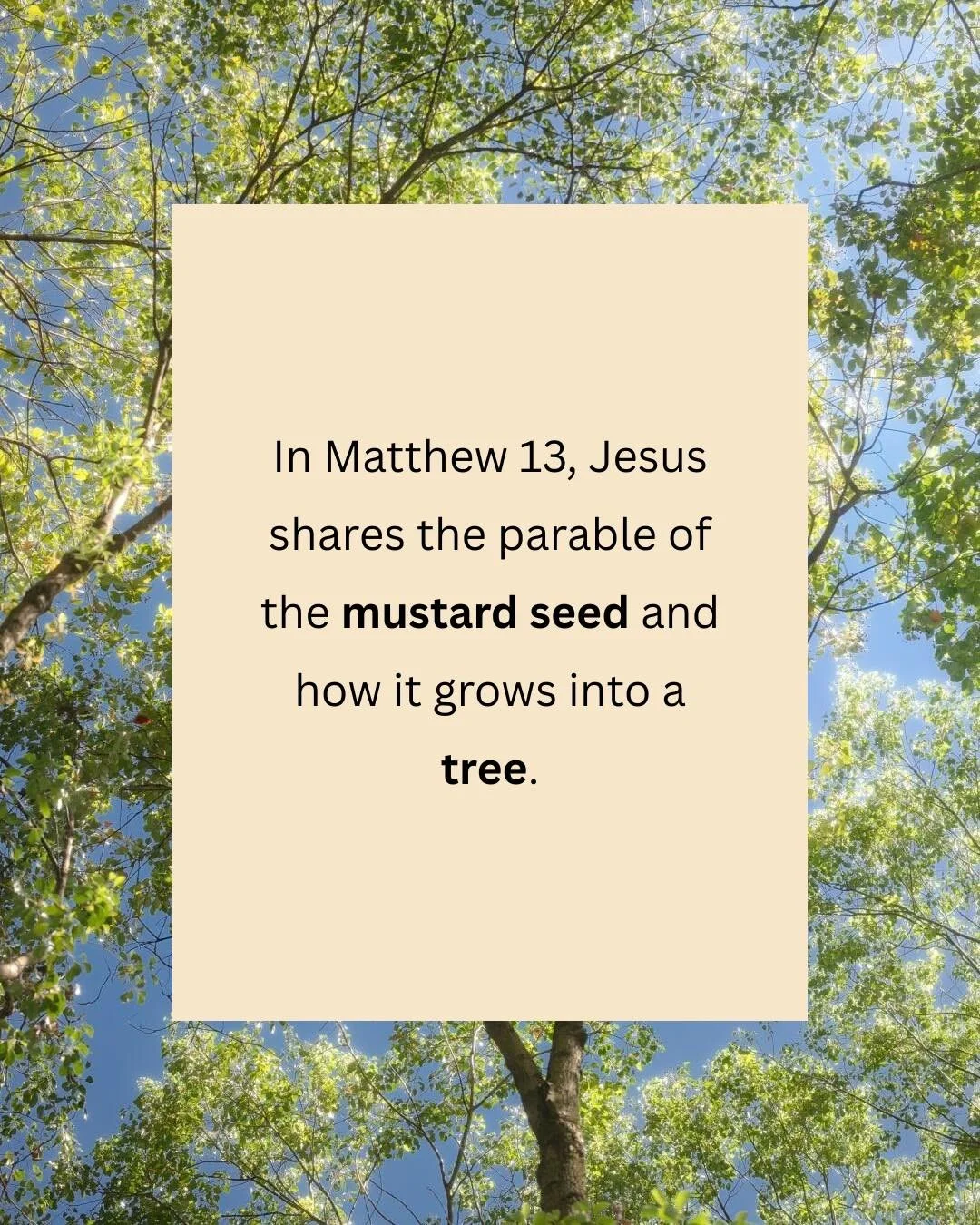&ldquo;He put another parable before them, saying, &lsquo;The kingdom of heaven is like a grain of mustard seed that a man took and sowed in his field. It is the smallest of all seeds, but when it has grown it is larger than all the garden plants and