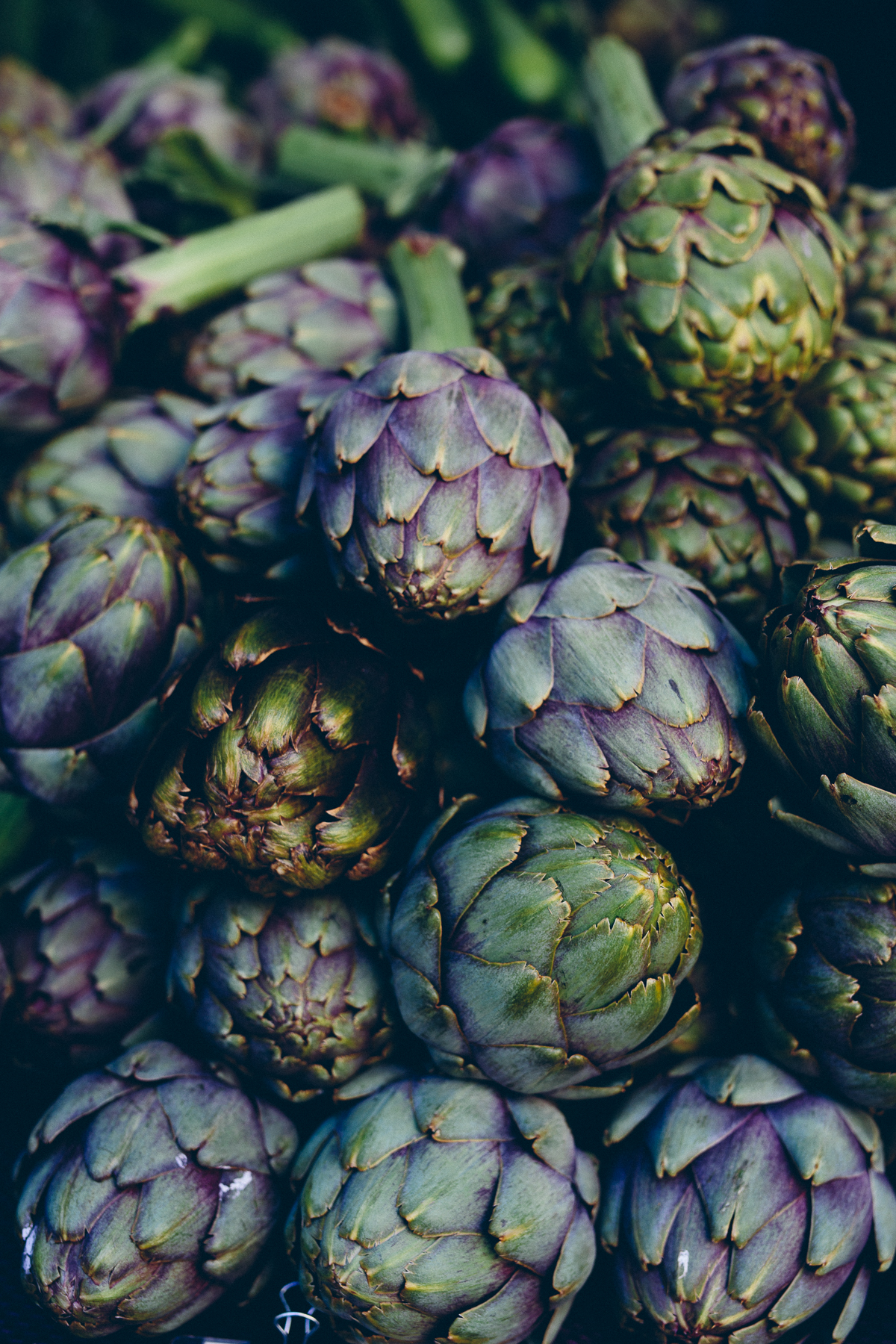 Artichokes from Portland Farmer's Market, July 2017