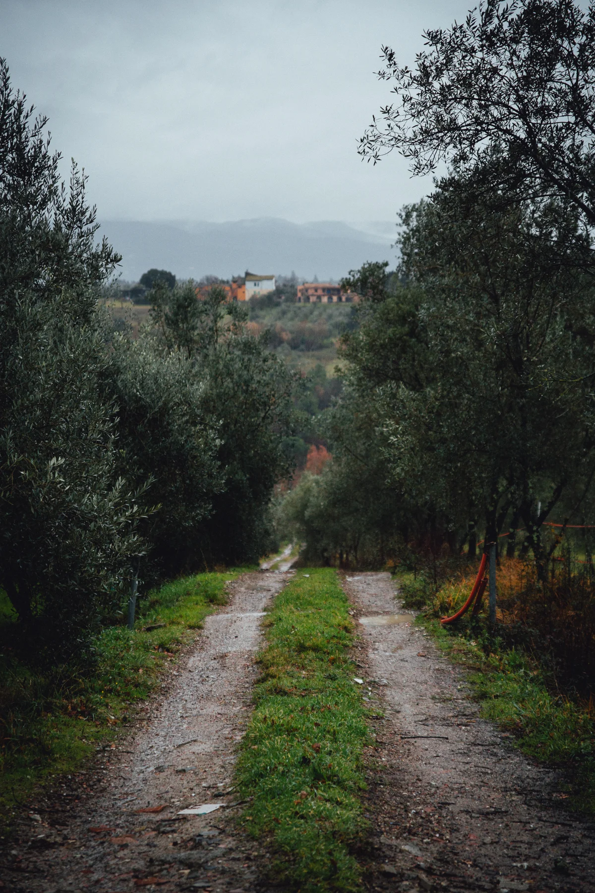 La Quercia Estate in Tuscany, Italy, February 2017