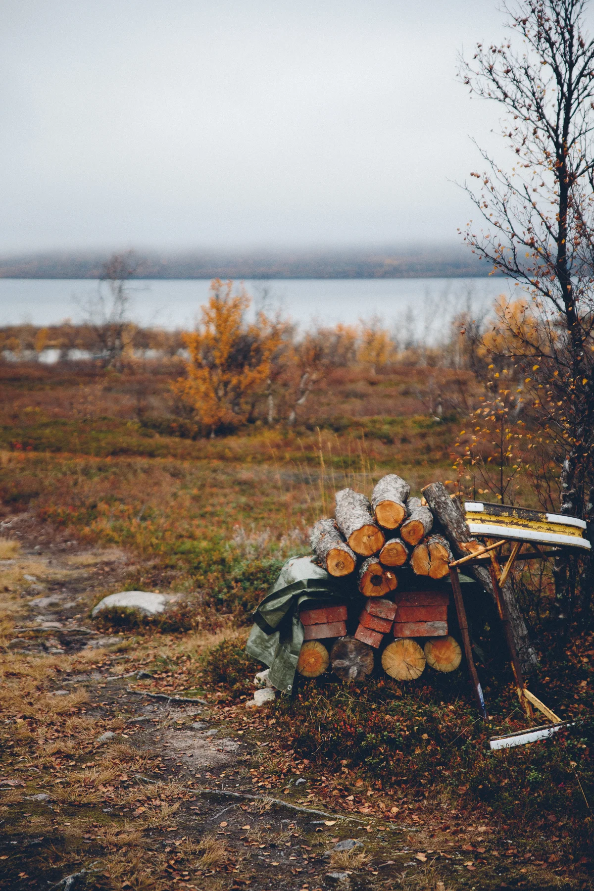 Abisko, Sweden, September 2017