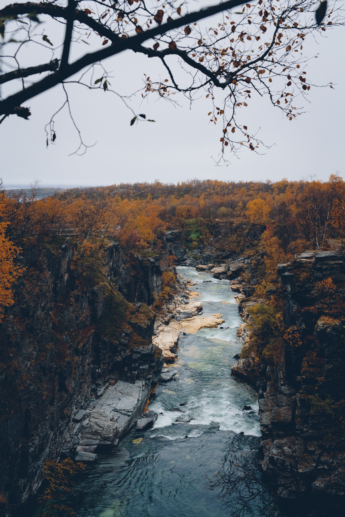 Abisko, Sweden, September 2017
