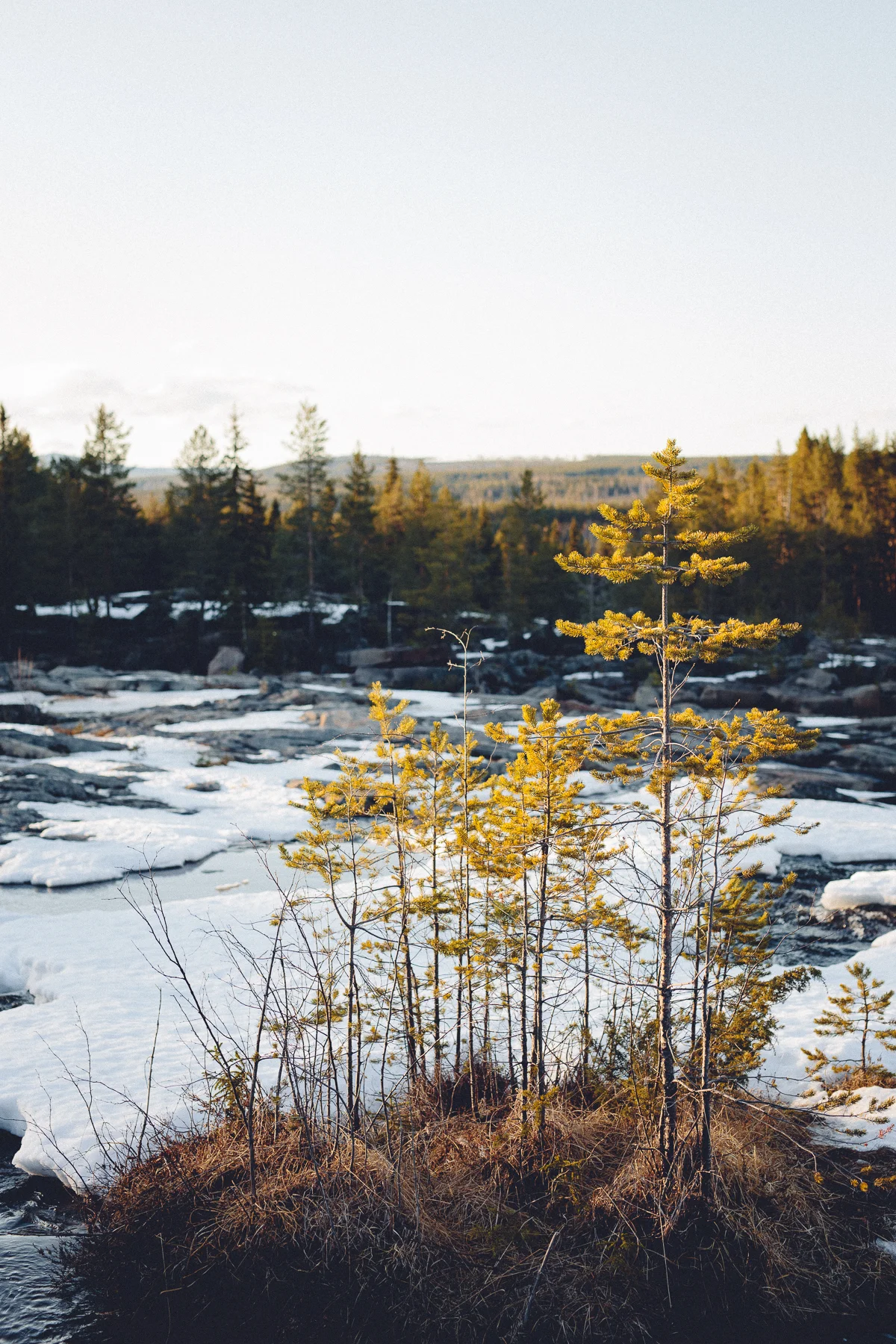 Storforsen, Sweden, May 2018
