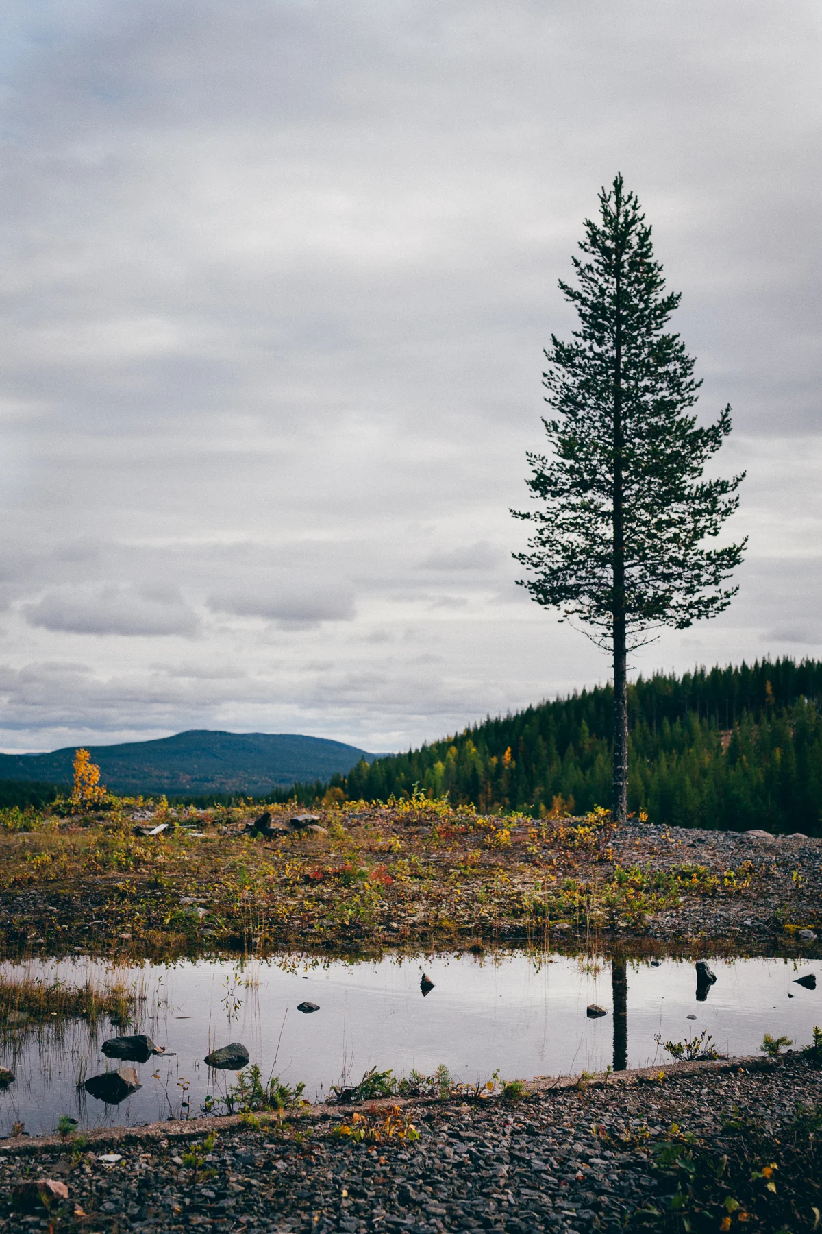 Lavergruvan, Sweden, September 2017