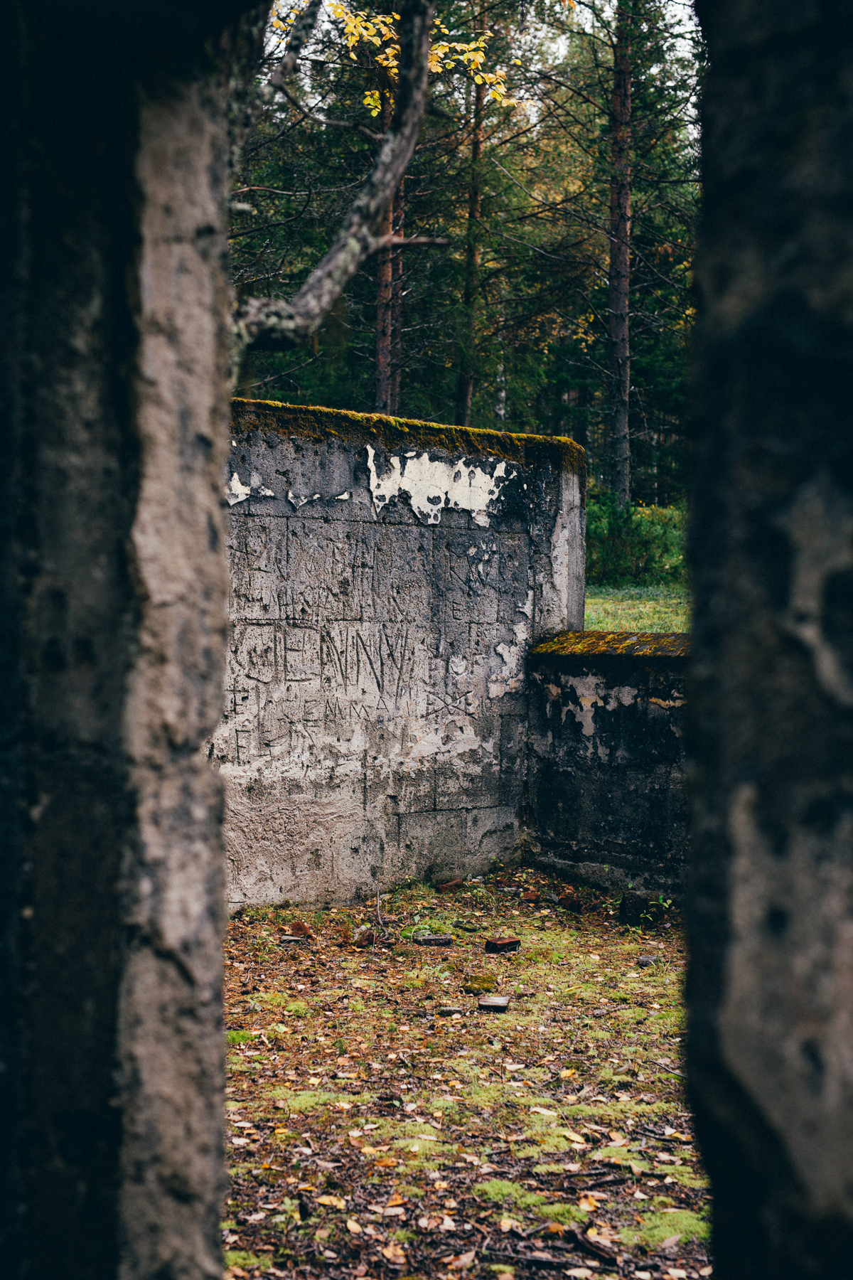 Lavergruvan, Sweden, September 2017