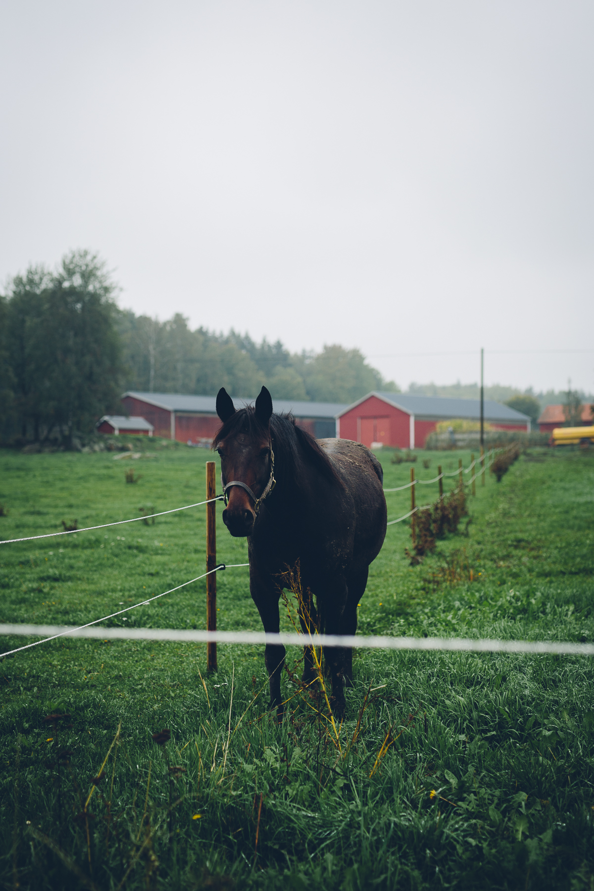 Broby, Sweden, September 2017