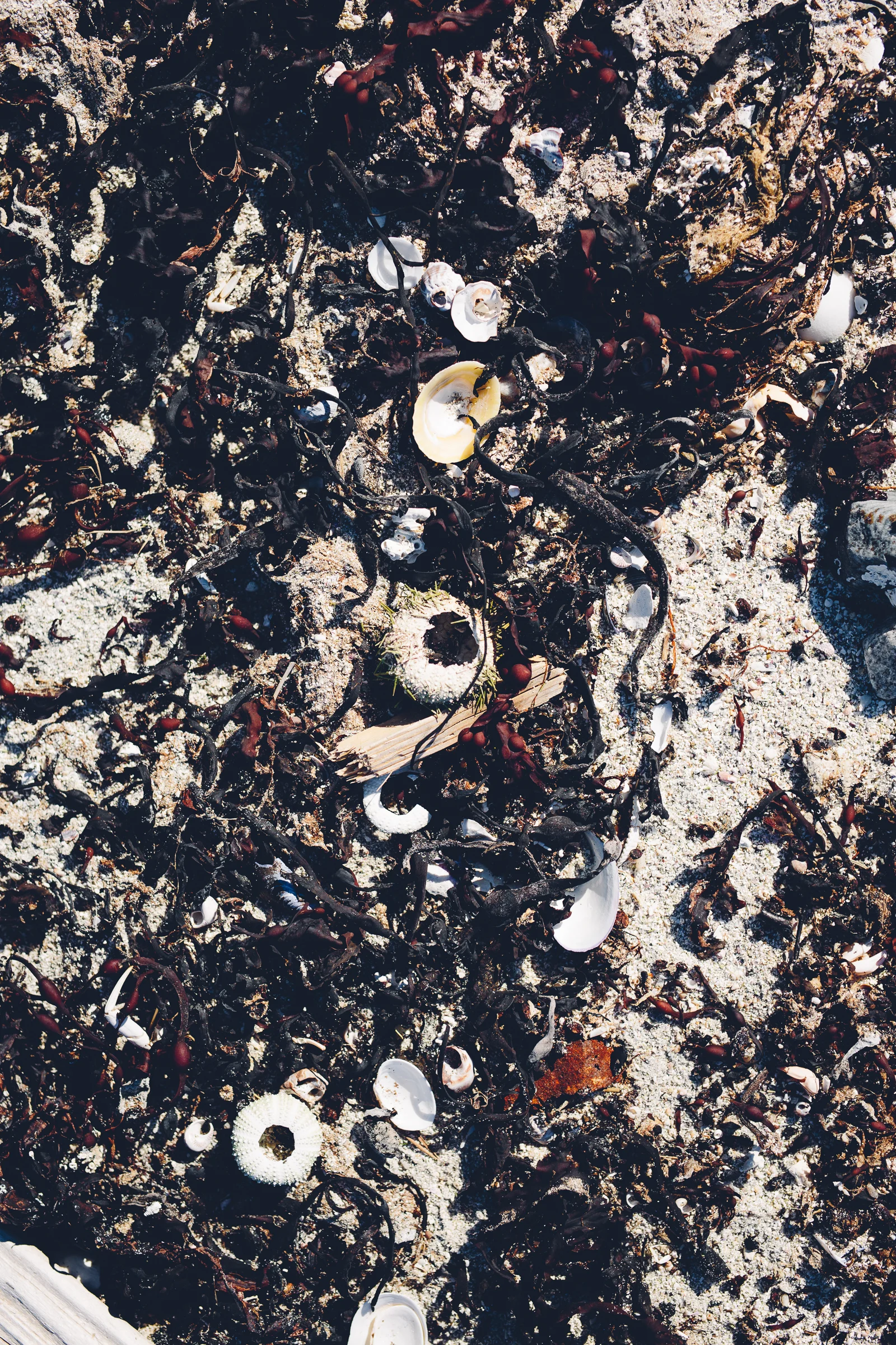 Kjerringøy, Norway, July 2018