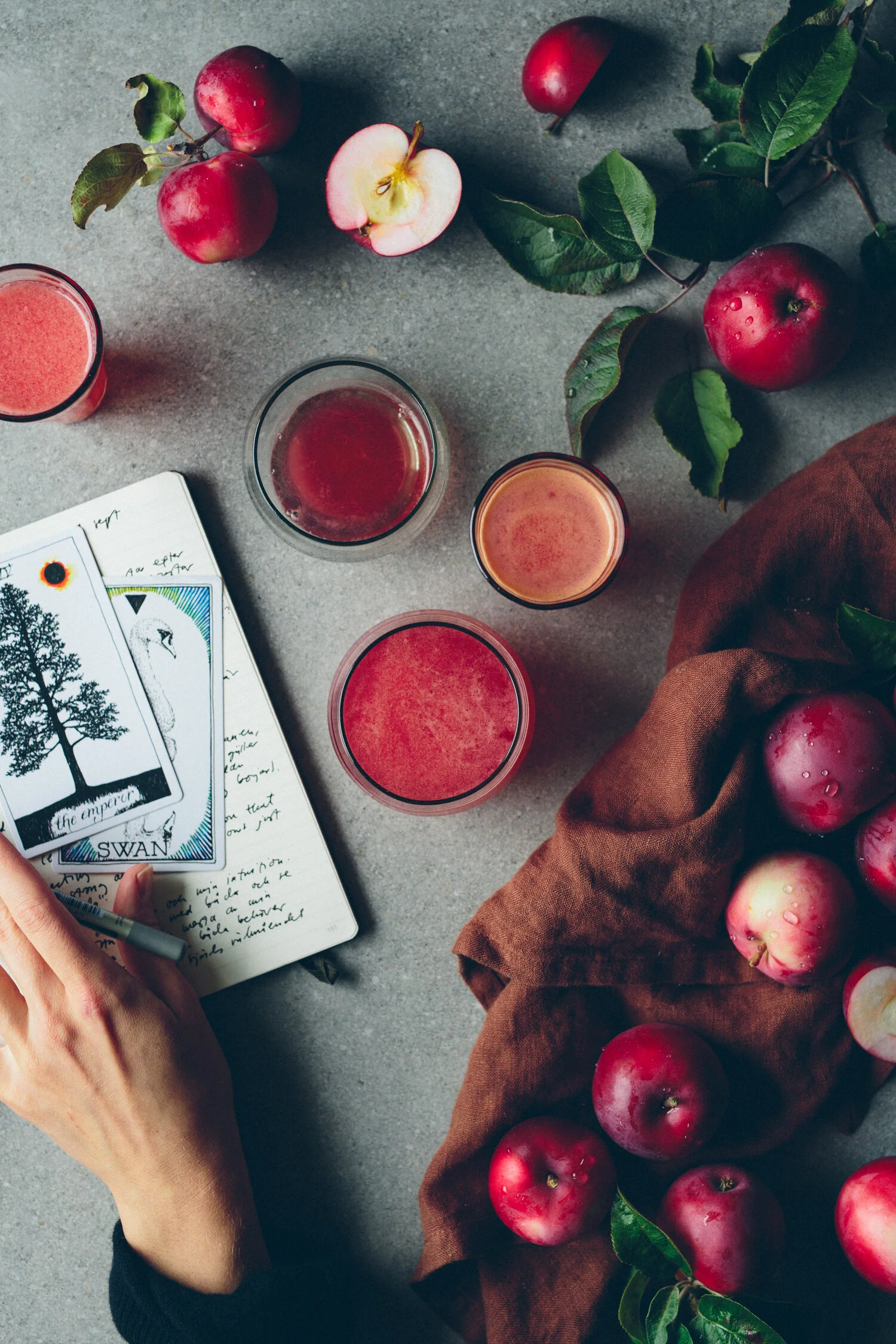 Apple Harvest, September 2018