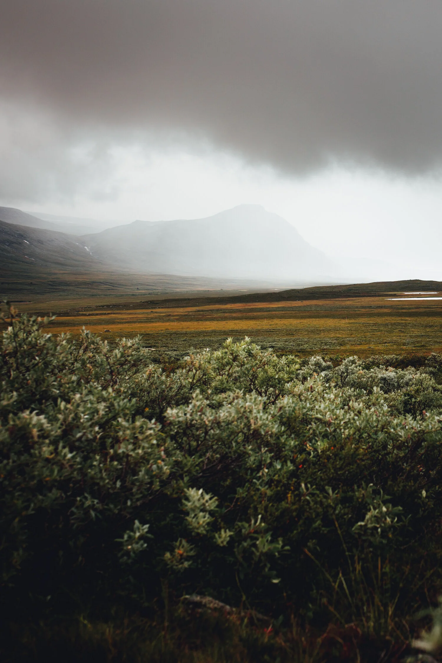 Saltoluokta, Sweden, August 2019