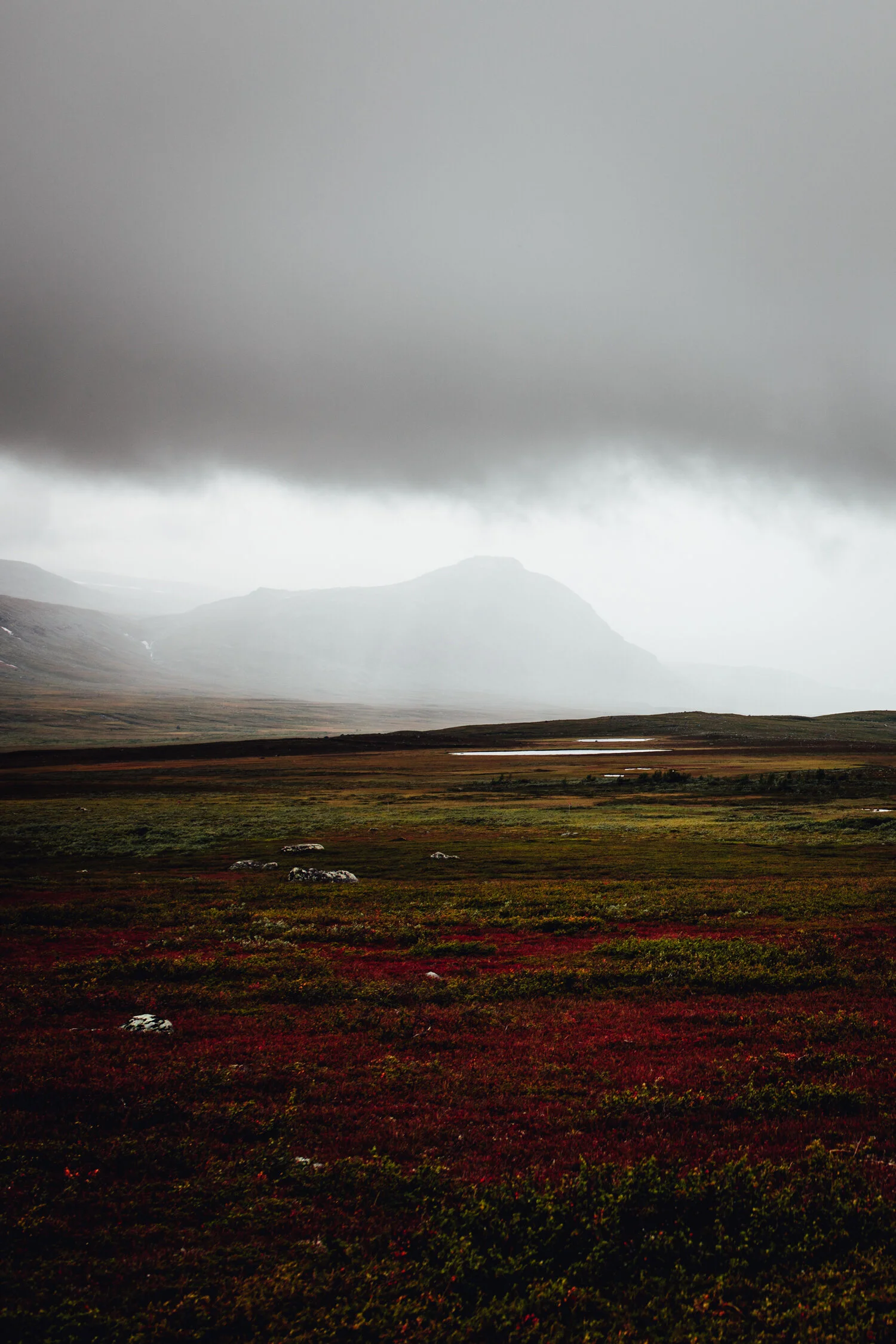 Saltoluokta, Sweden, August 2019