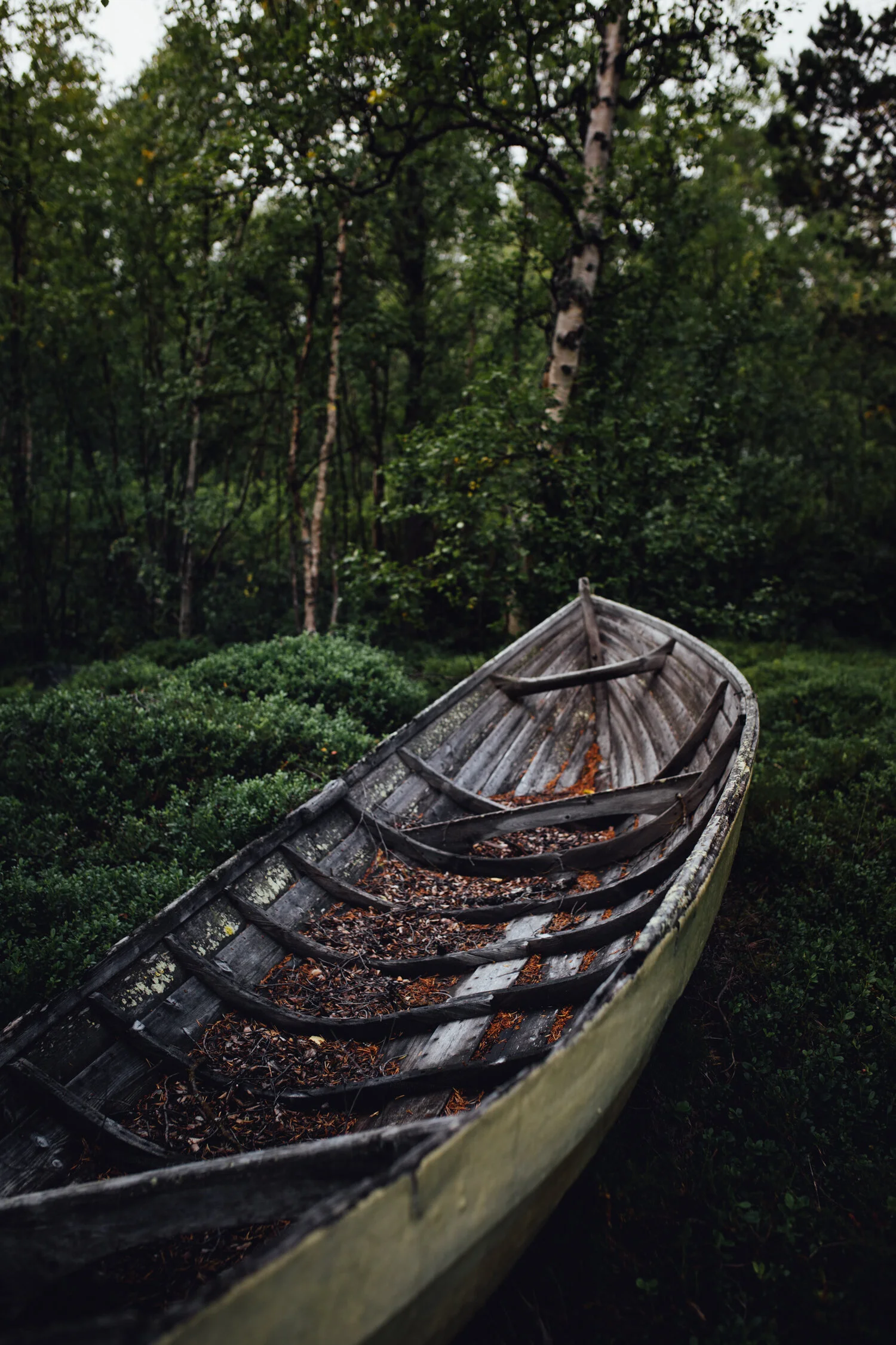 Saltoluokta, Sweden, August 2019