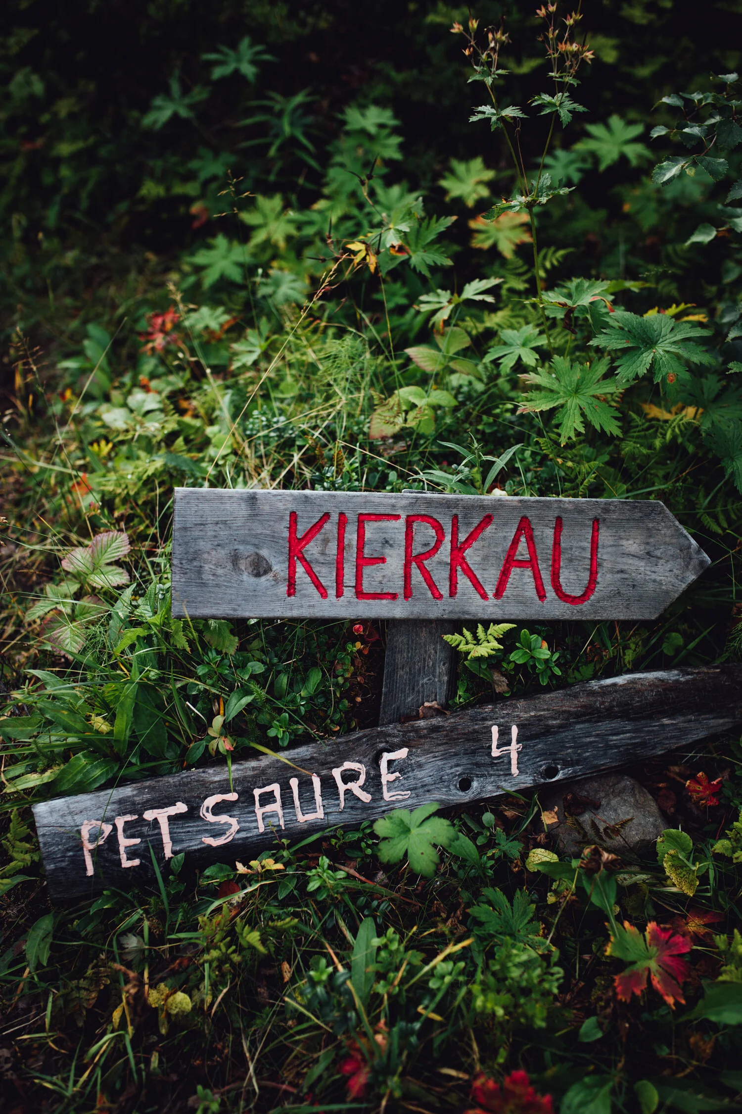 Saltoluokta, Sweden, August 2019