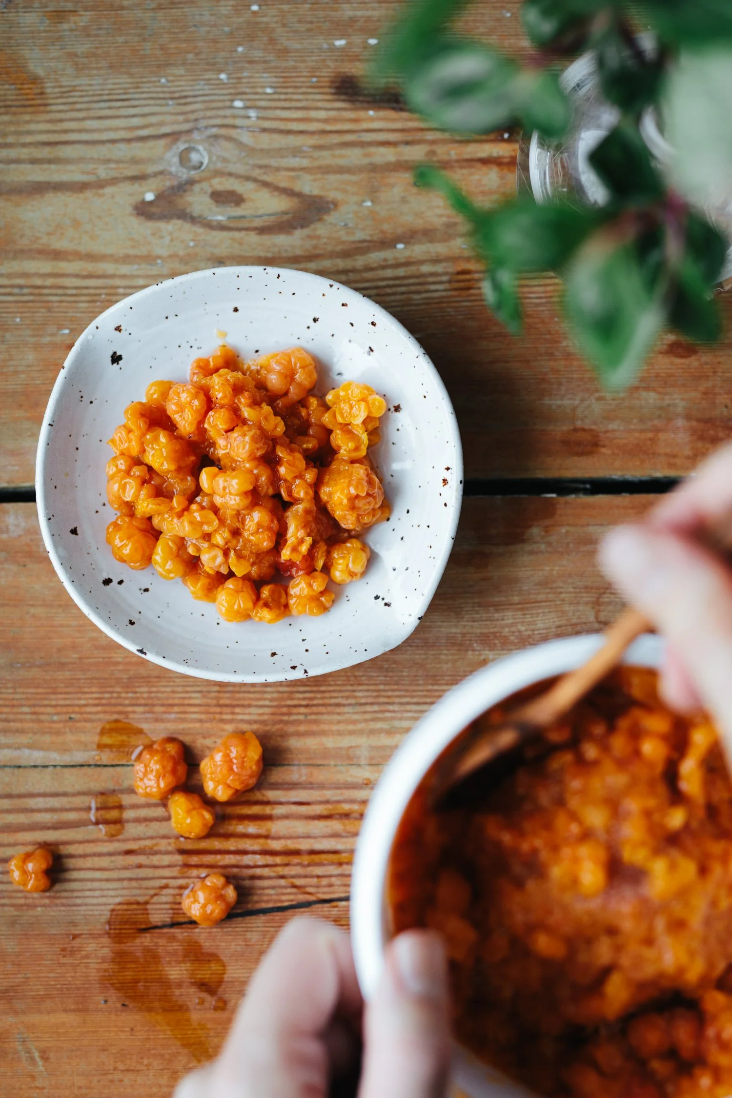 Norrdelikatess, 2023